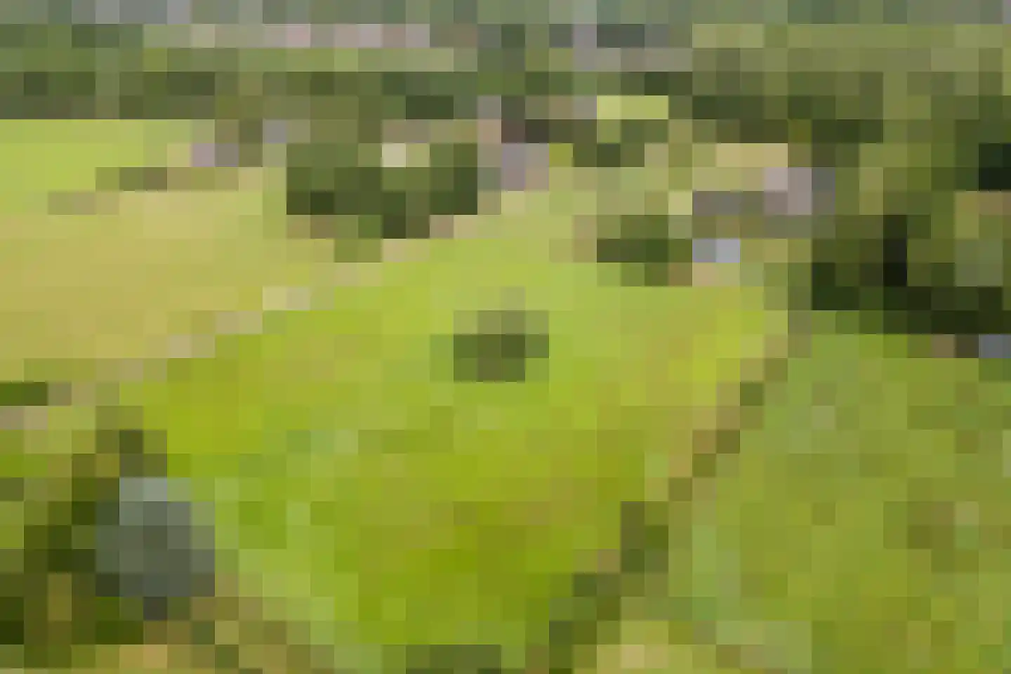 Ommerkanaal 7 Dedemsvaart thumbnail 101