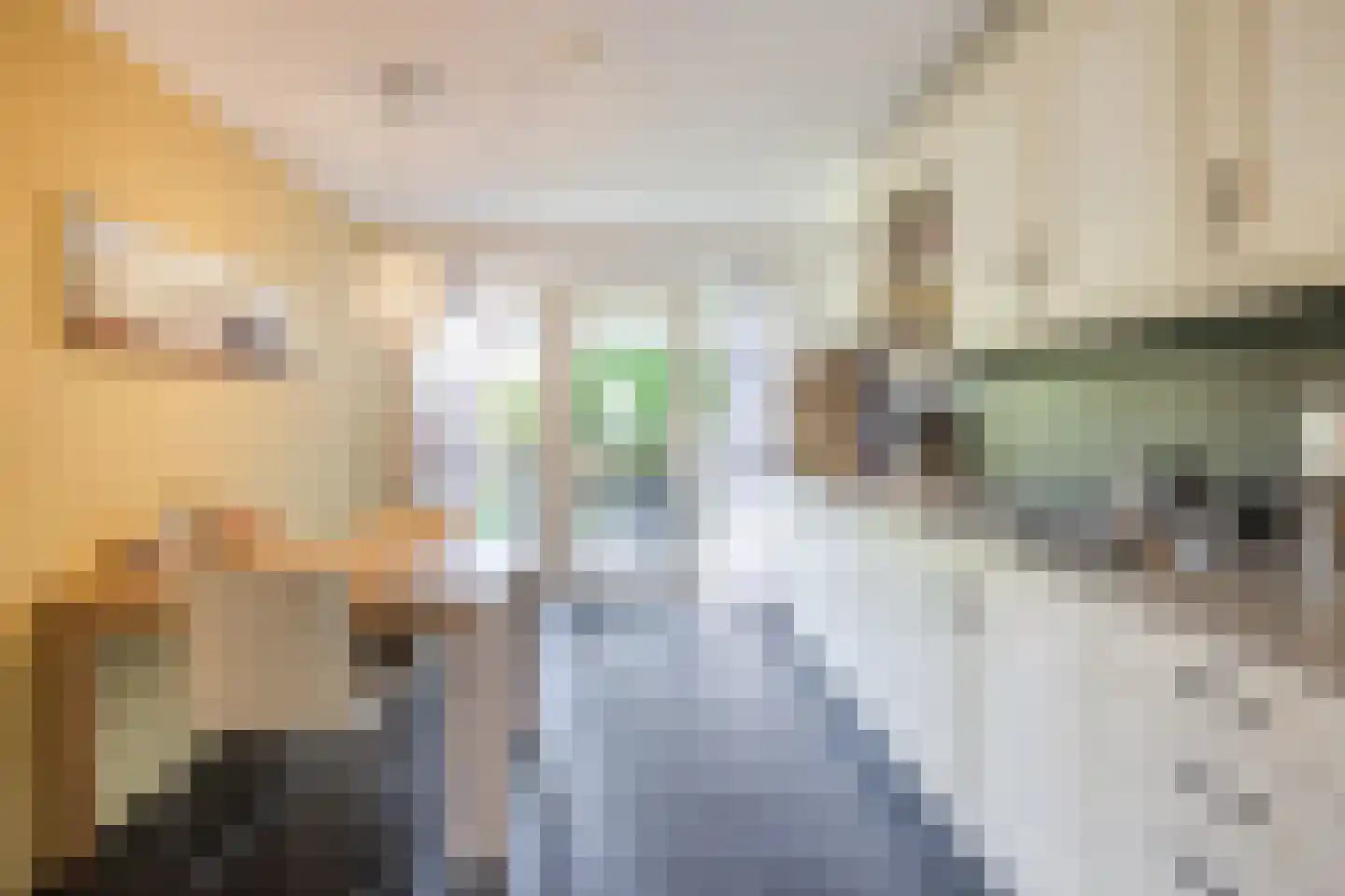 Ommerkanaal 7 Dedemsvaart thumbnail 20