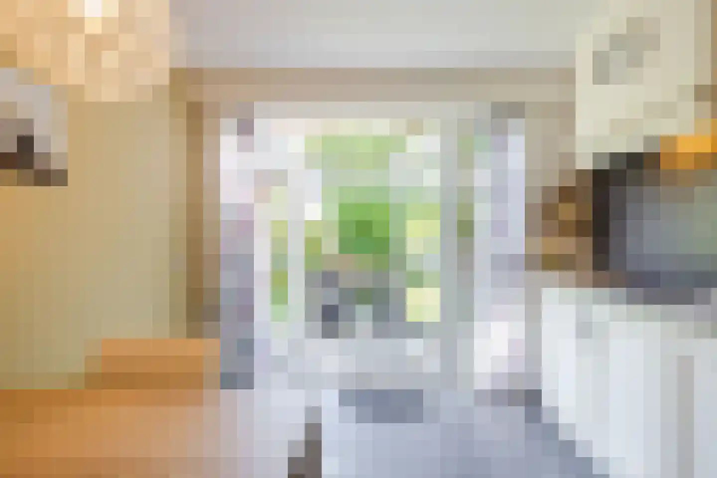 Ommerkanaal 7 Dedemsvaart thumbnail 21