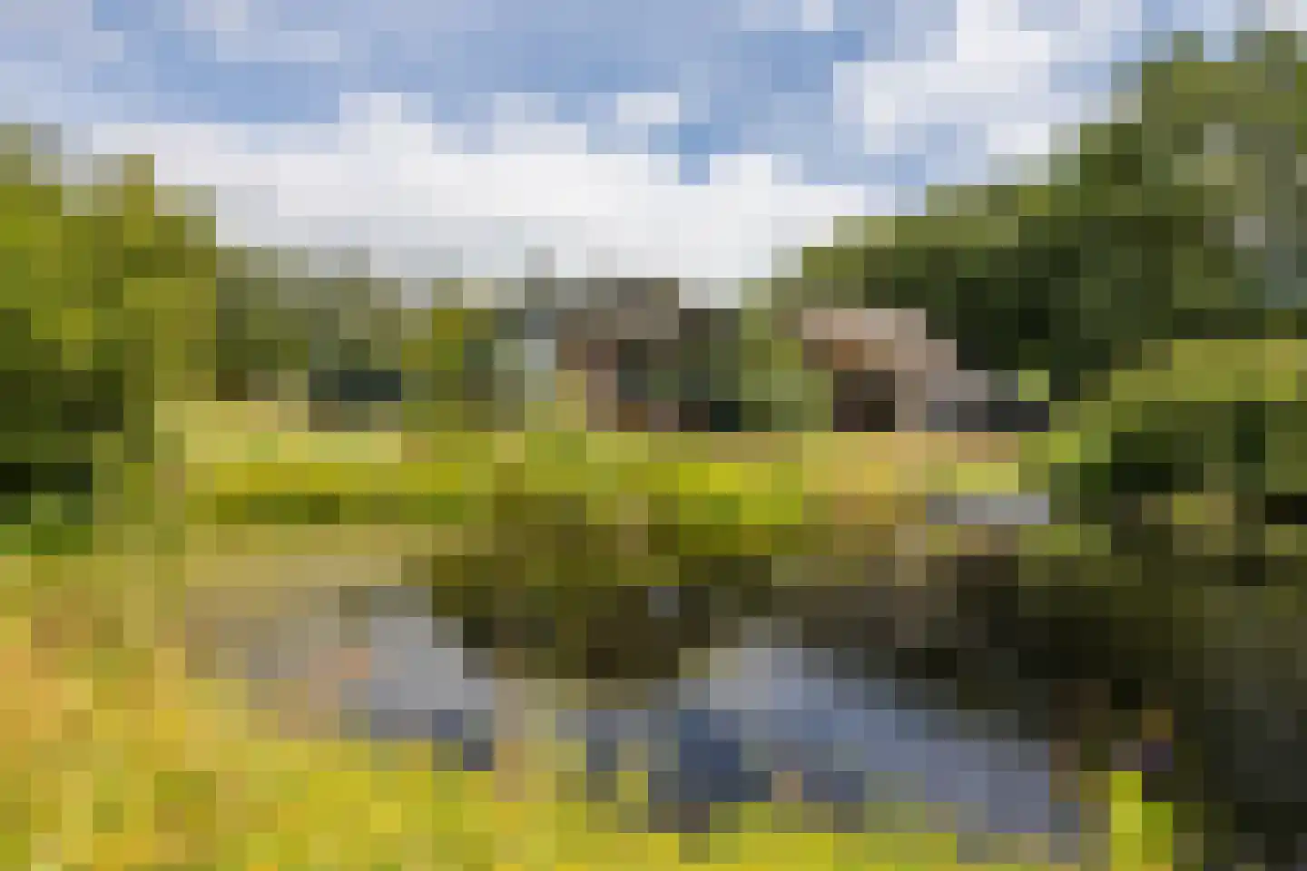 Ommerkanaal 7 Dedemsvaart thumbnail 4