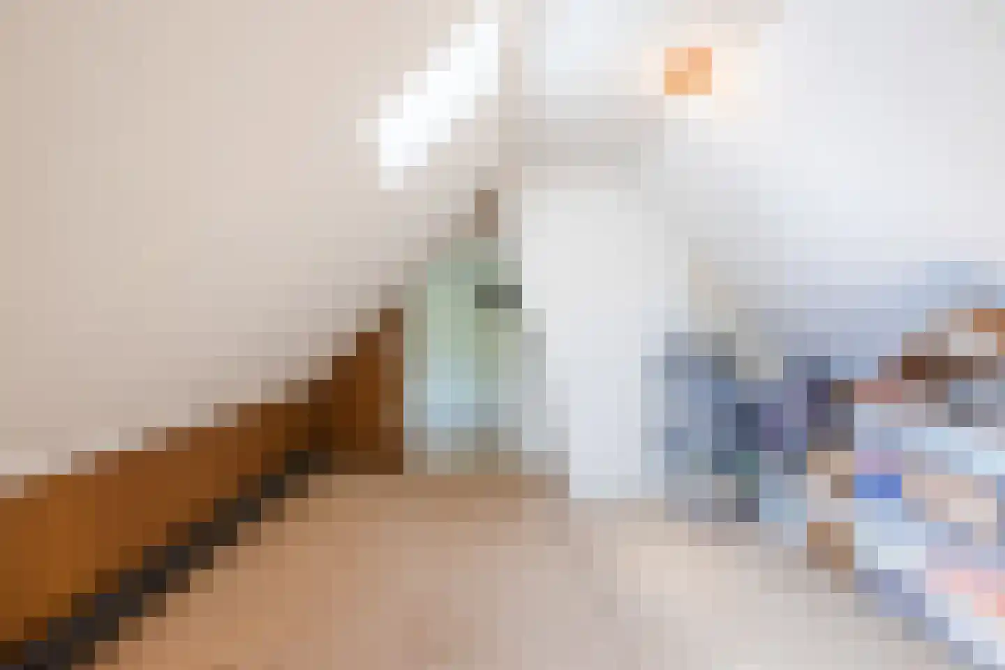 Ommerkanaal 7 Dedemsvaart thumbnail 43