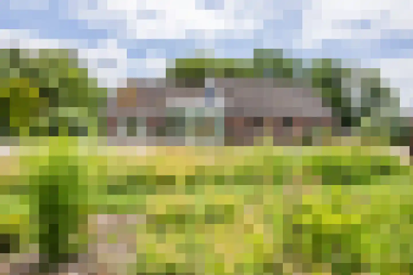 Ommerkanaal 7 Dedemsvaart thumbnail 46