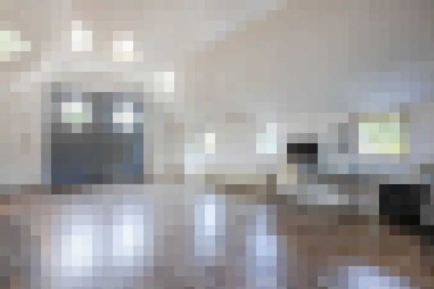 Ommerkanaal 7 Dedemsvaart thumbnail 51