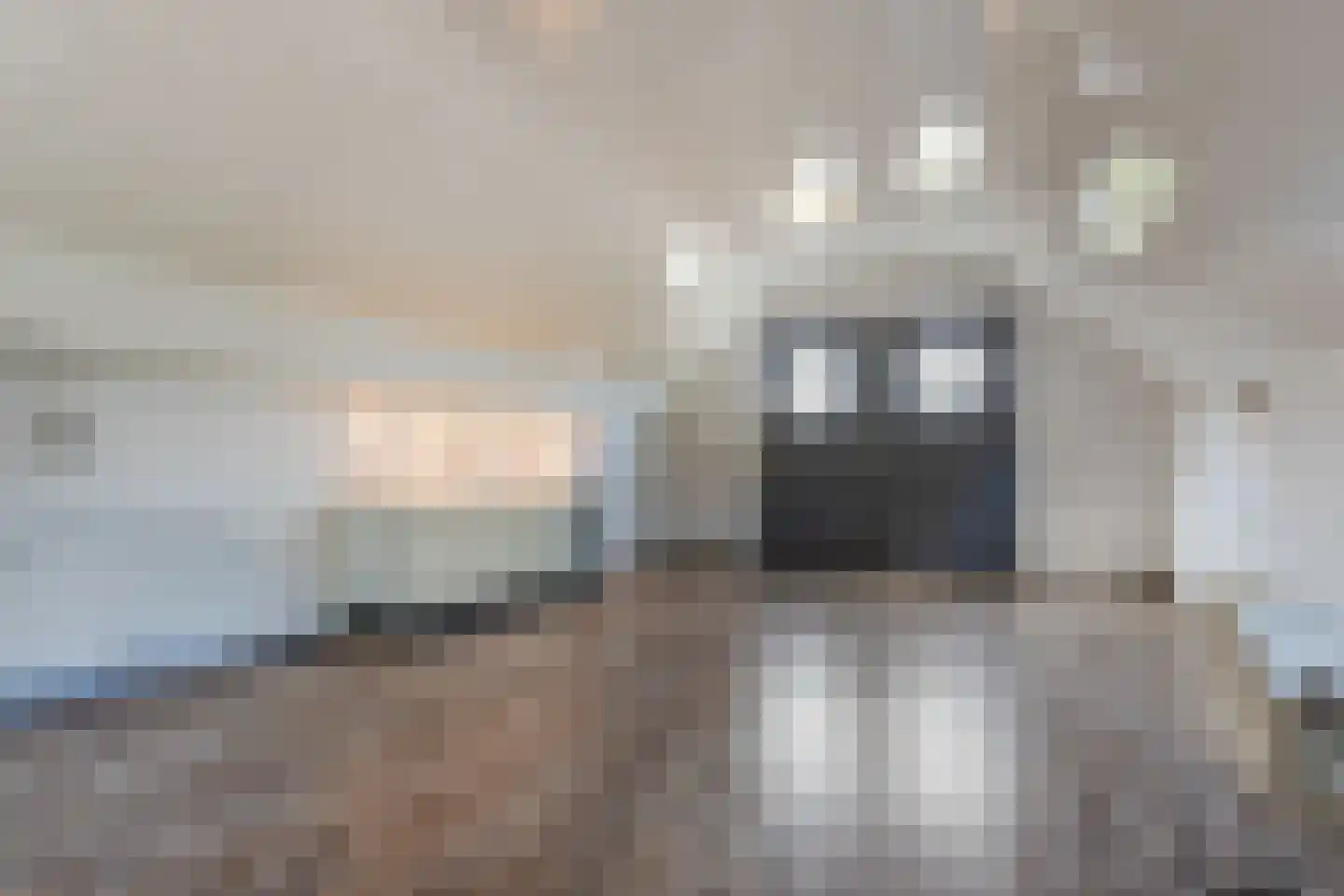 Ommerkanaal 7 Dedemsvaart thumbnail 52