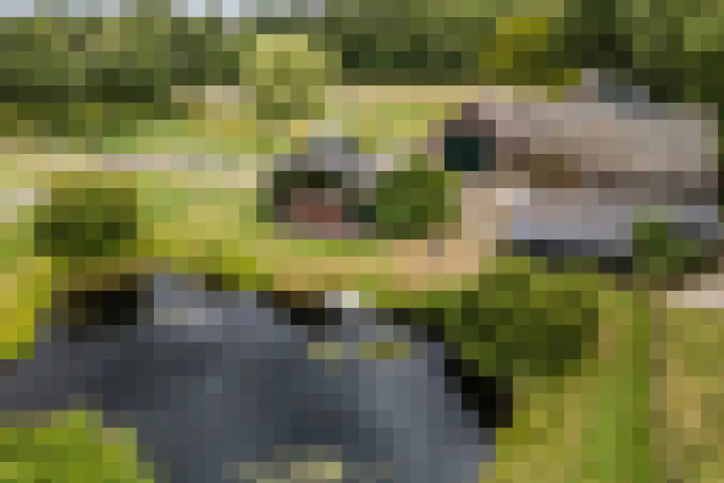 Ommerkanaal 7 Dedemsvaart thumbnail 58