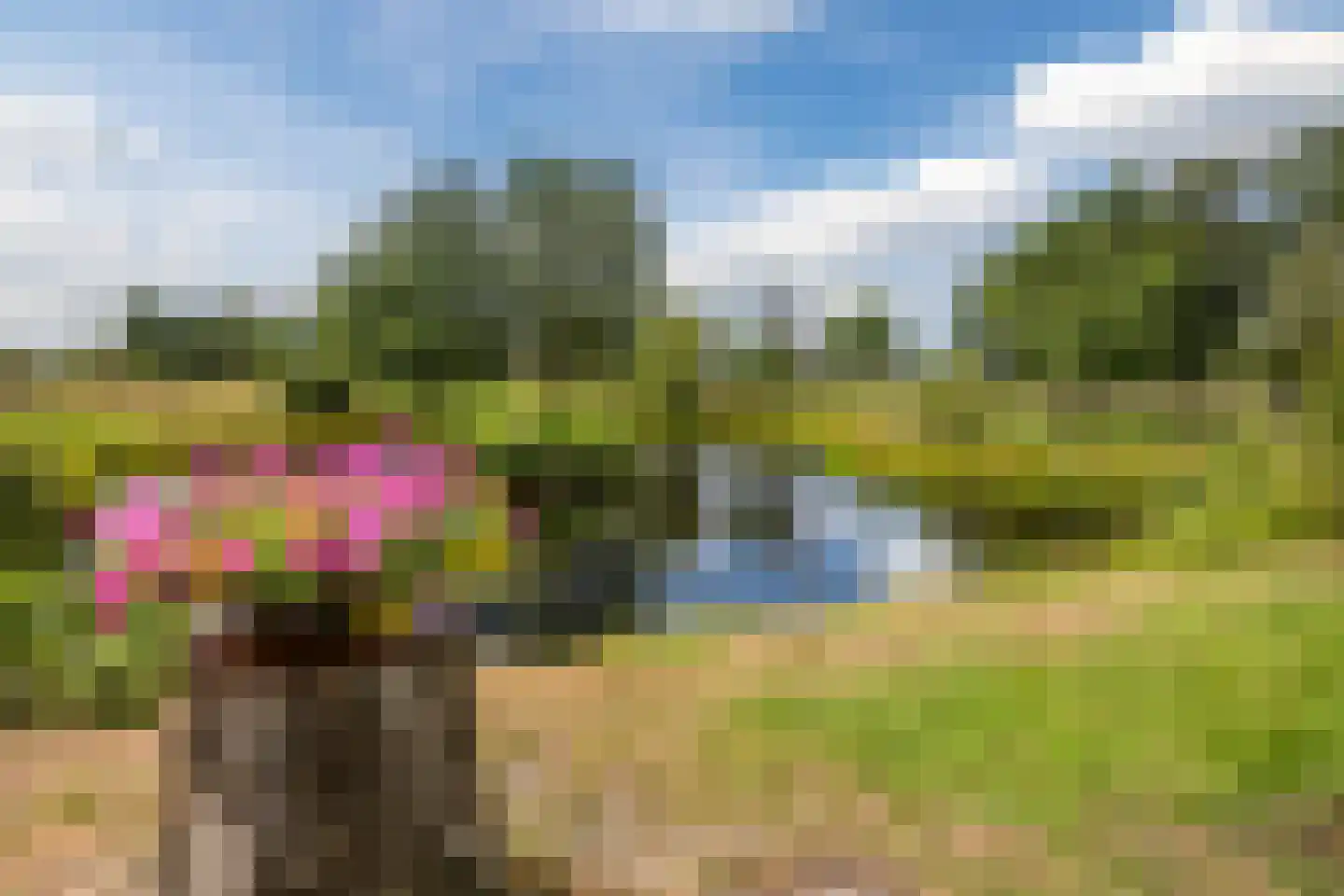 Ommerkanaal 7 Dedemsvaart thumbnail 63