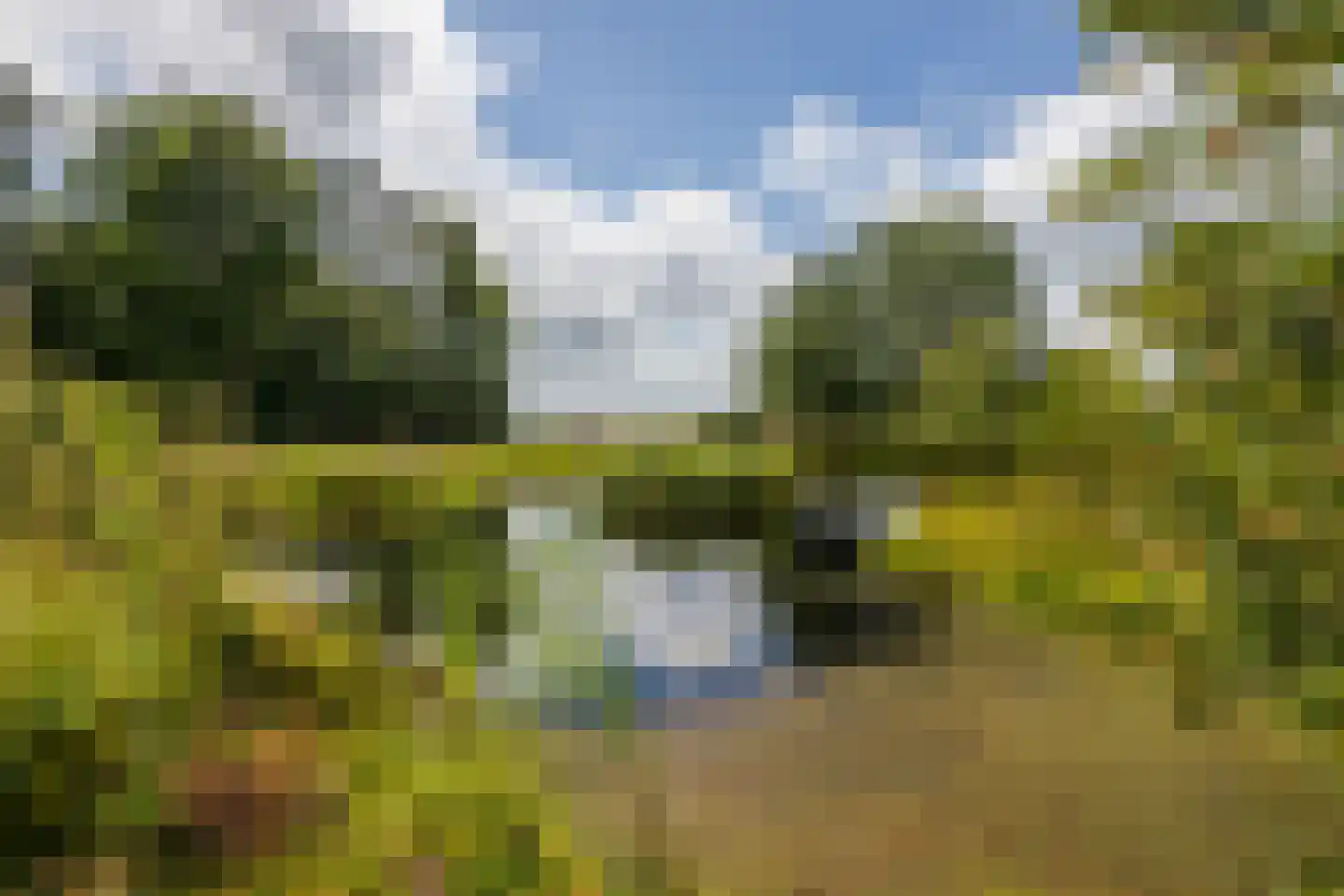 Ommerkanaal 7 Dedemsvaart thumbnail 65