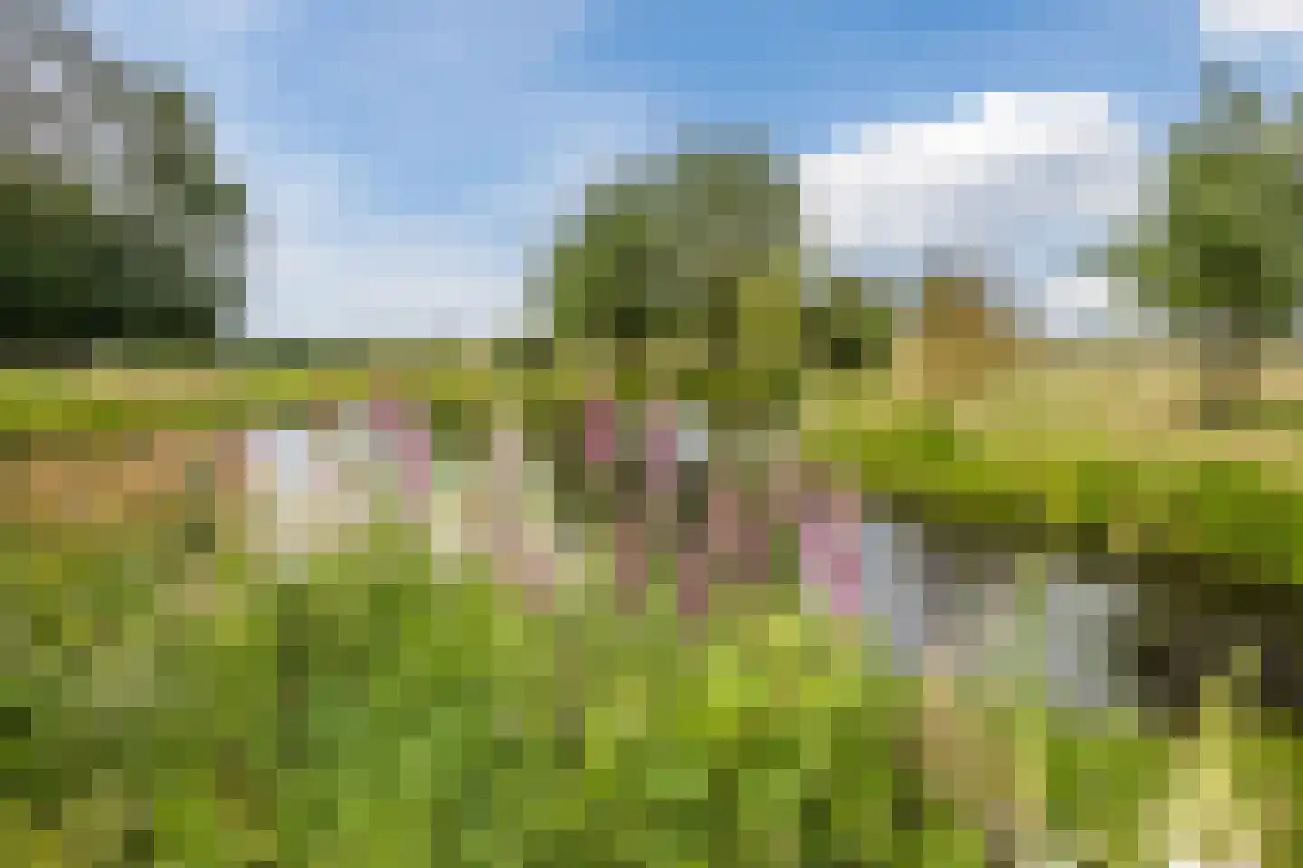Ommerkanaal 7 Dedemsvaart thumbnail 67