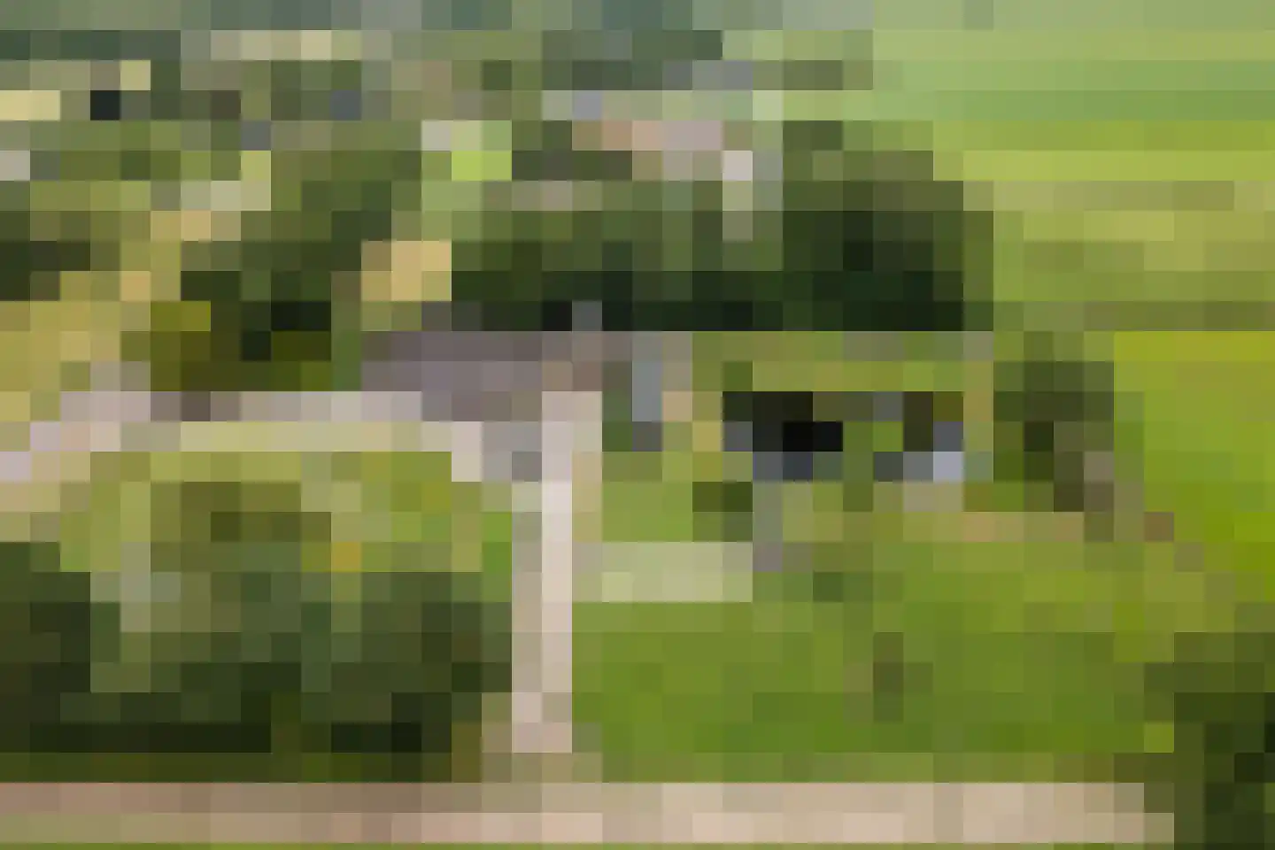 Ommerkanaal 7 Dedemsvaart thumbnail 69