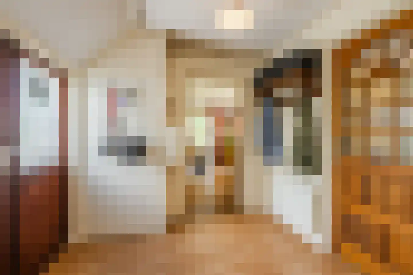 Ommerkanaal 7 Dedemsvaart thumbnail 7
