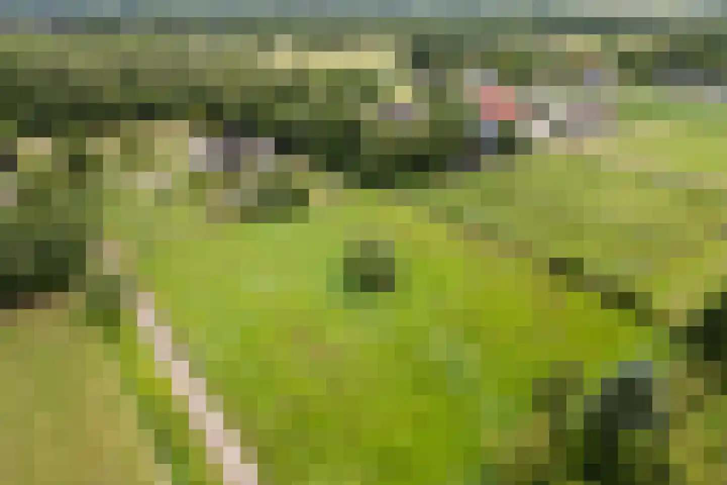 Ommerkanaal 7 Dedemsvaart thumbnail 70