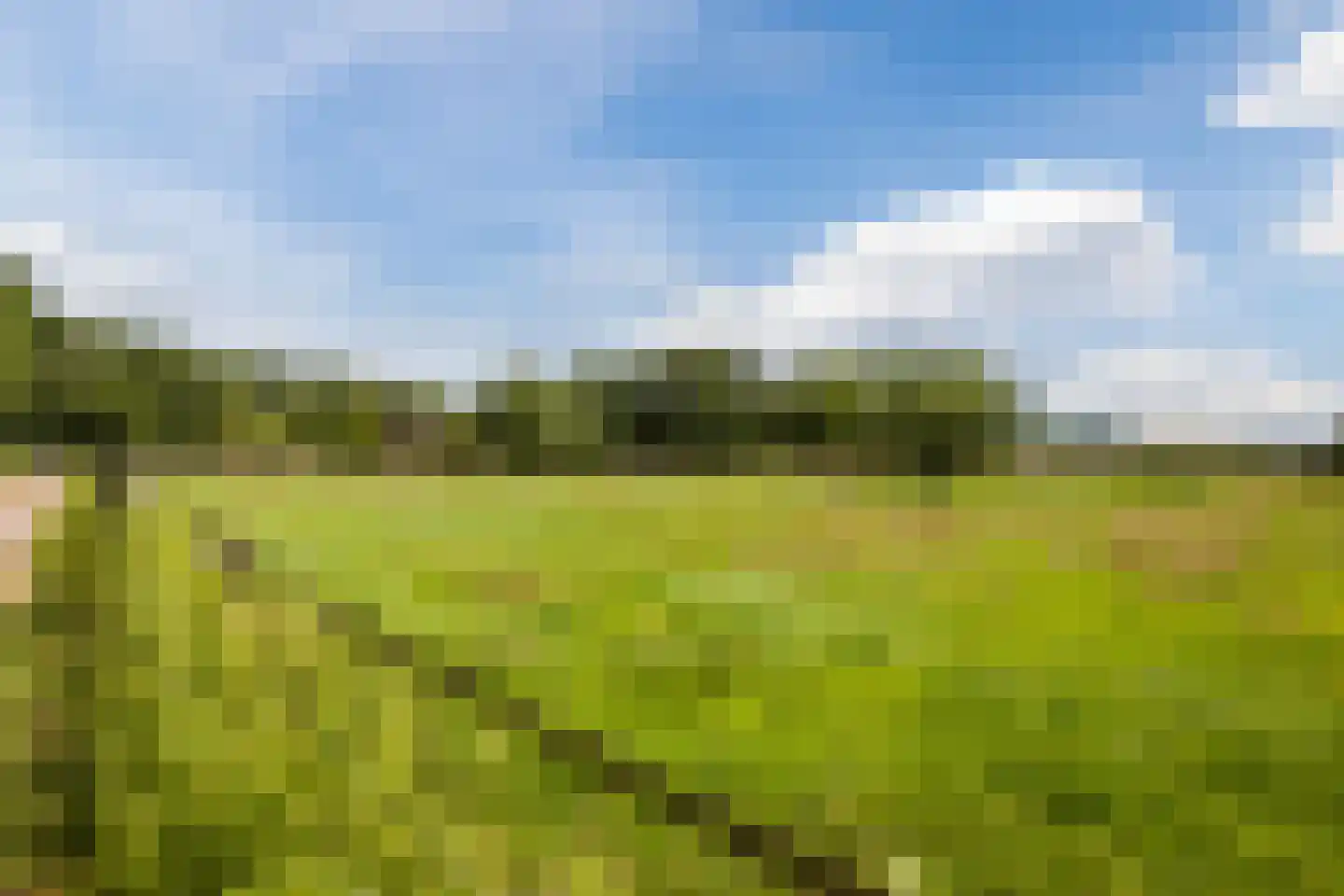 Ommerkanaal 7 Dedemsvaart thumbnail 71