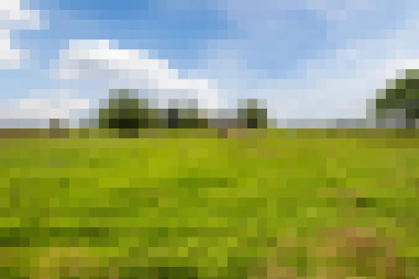 Ommerkanaal 7 Dedemsvaart thumbnail 72