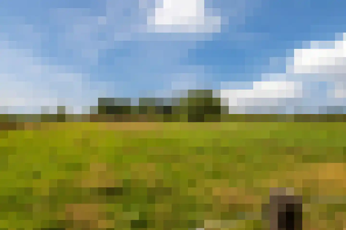 Ommerkanaal 7 Dedemsvaart thumbnail 73
