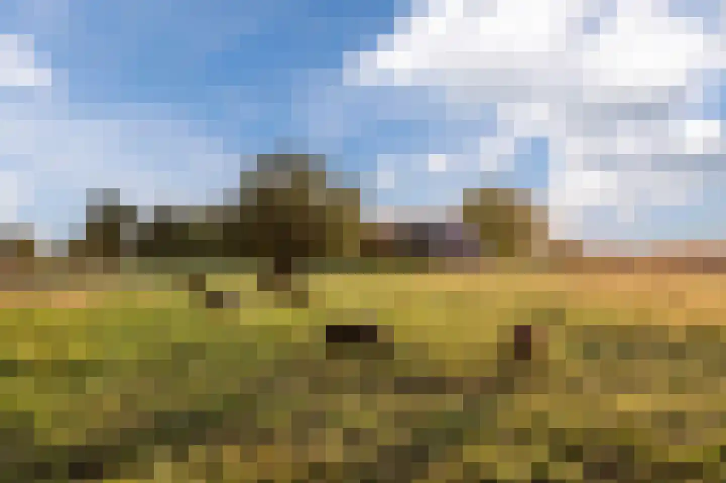 Ommerkanaal 7 Dedemsvaart thumbnail 74