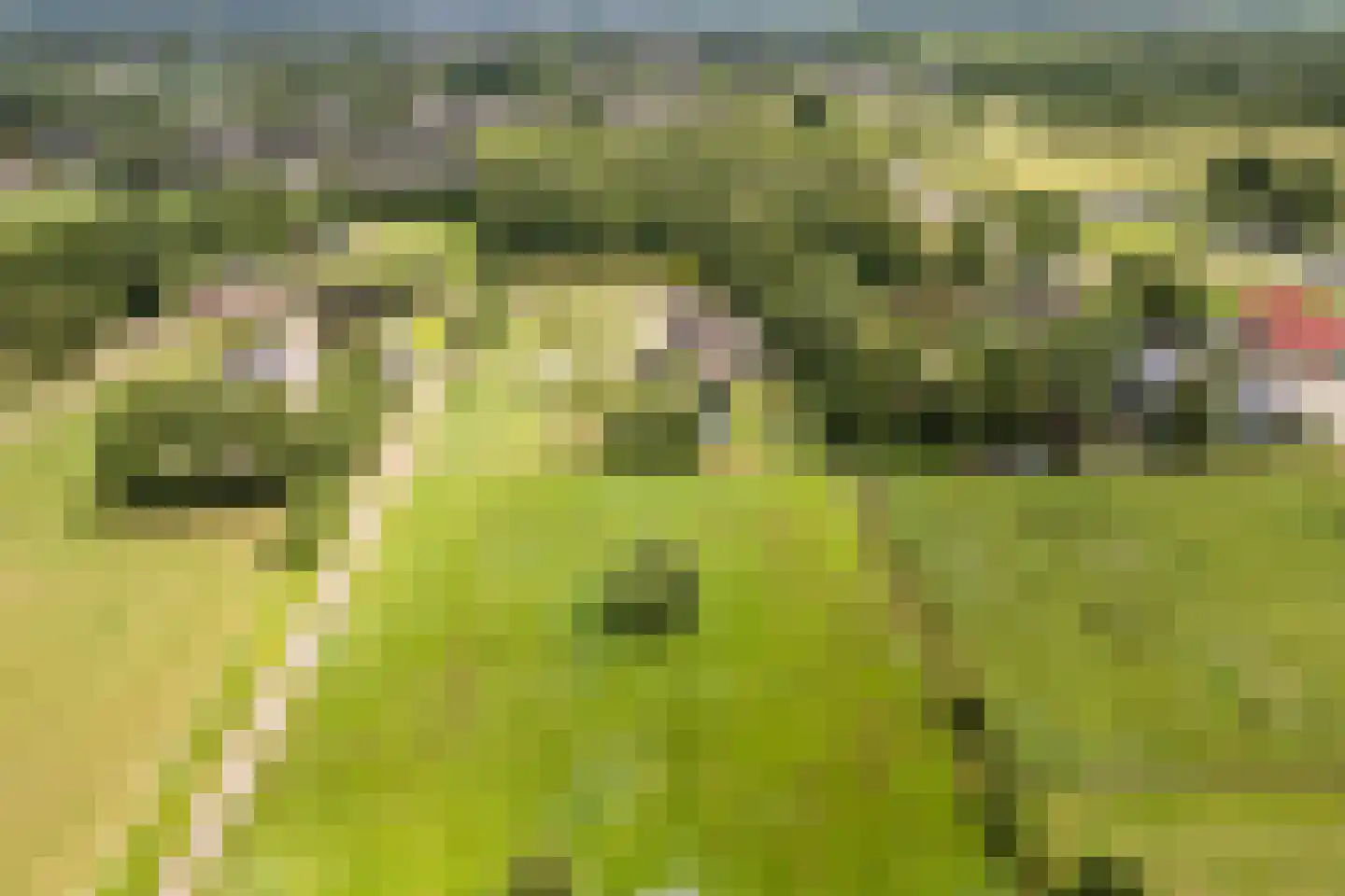 Ommerkanaal 7 Dedemsvaart thumbnail 75