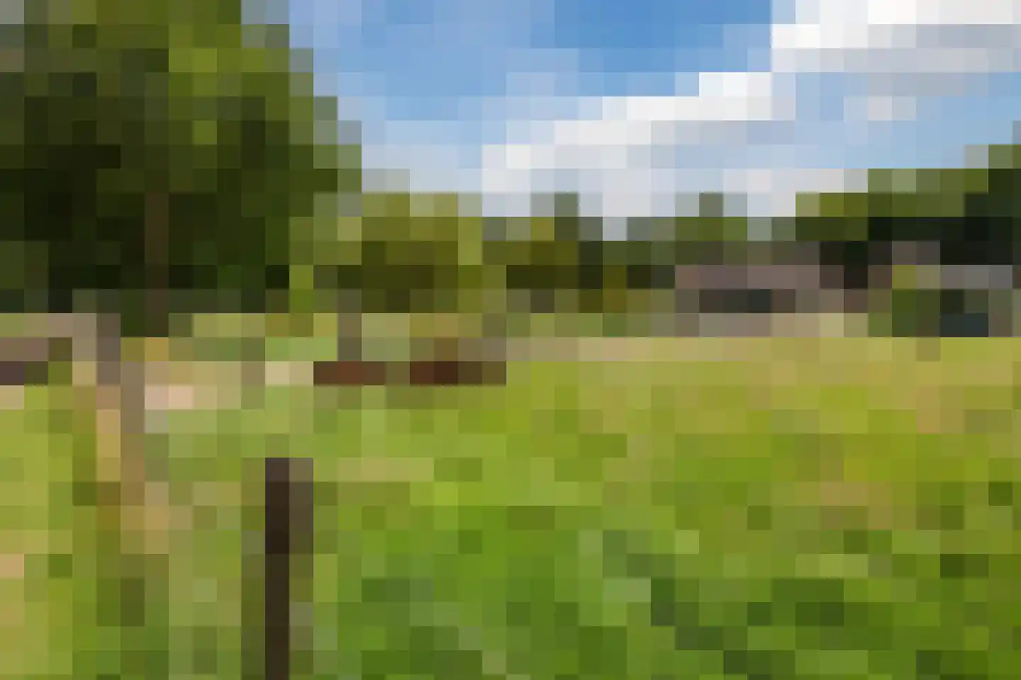 Ommerkanaal 7 Dedemsvaart thumbnail 76