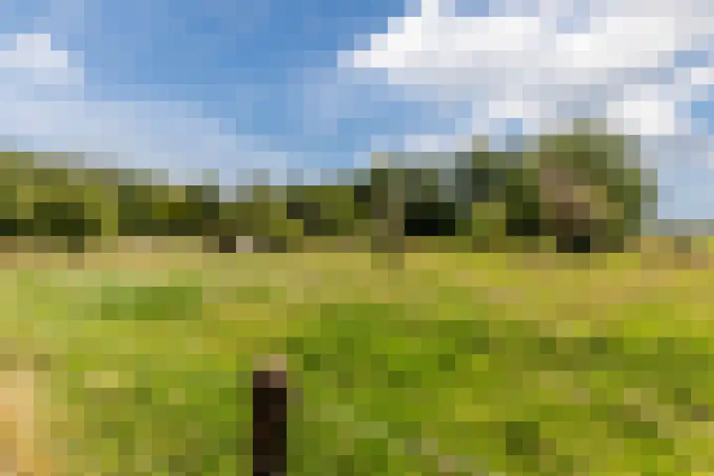 Ommerkanaal 7 Dedemsvaart thumbnail 77