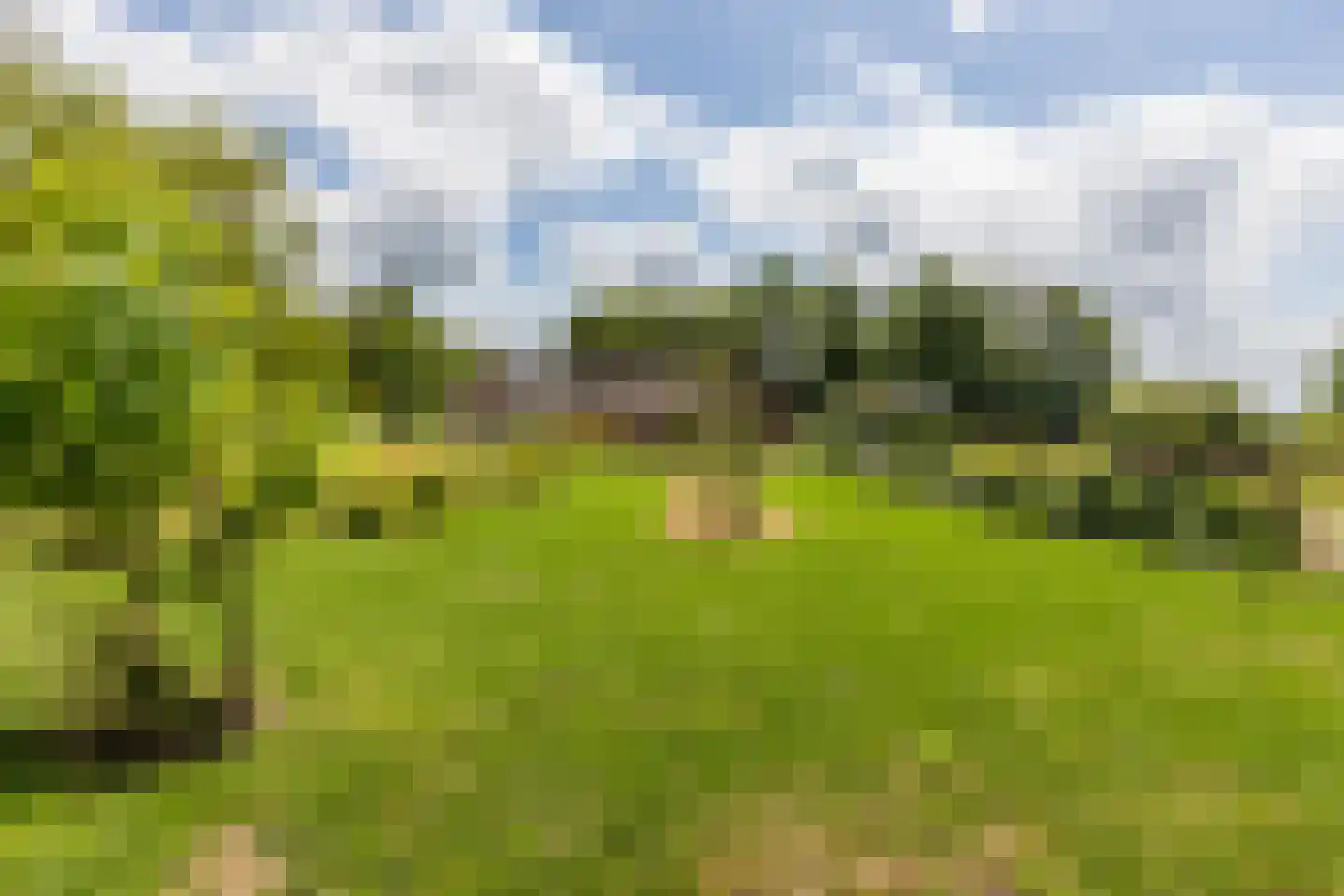 Ommerkanaal 7 Dedemsvaart thumbnail 78