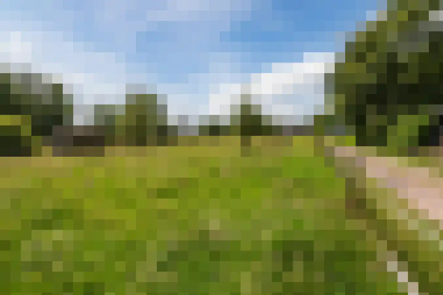 Ommerkanaal 7 Dedemsvaart thumbnail 79