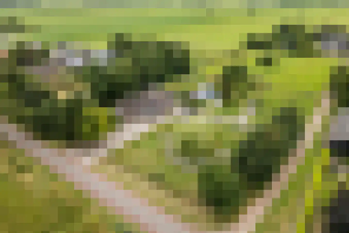 Ommerkanaal 7 Dedemsvaart thumbnail 80