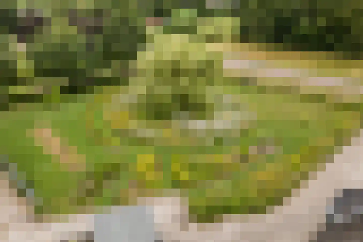 Ommerkanaal 7 Dedemsvaart thumbnail 81