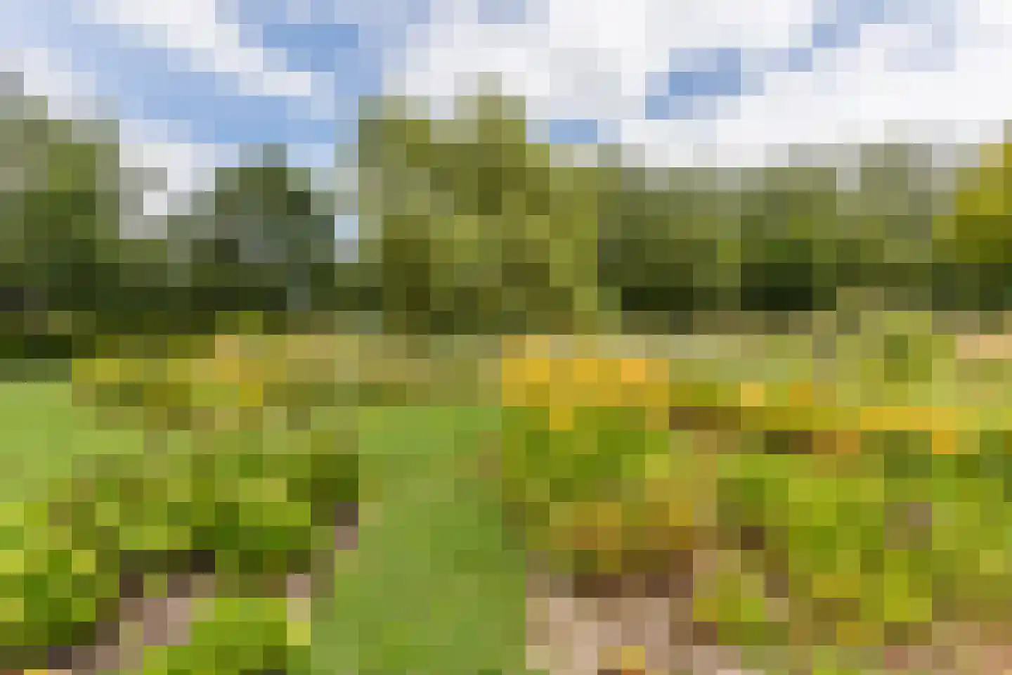 Ommerkanaal 7 Dedemsvaart thumbnail 82