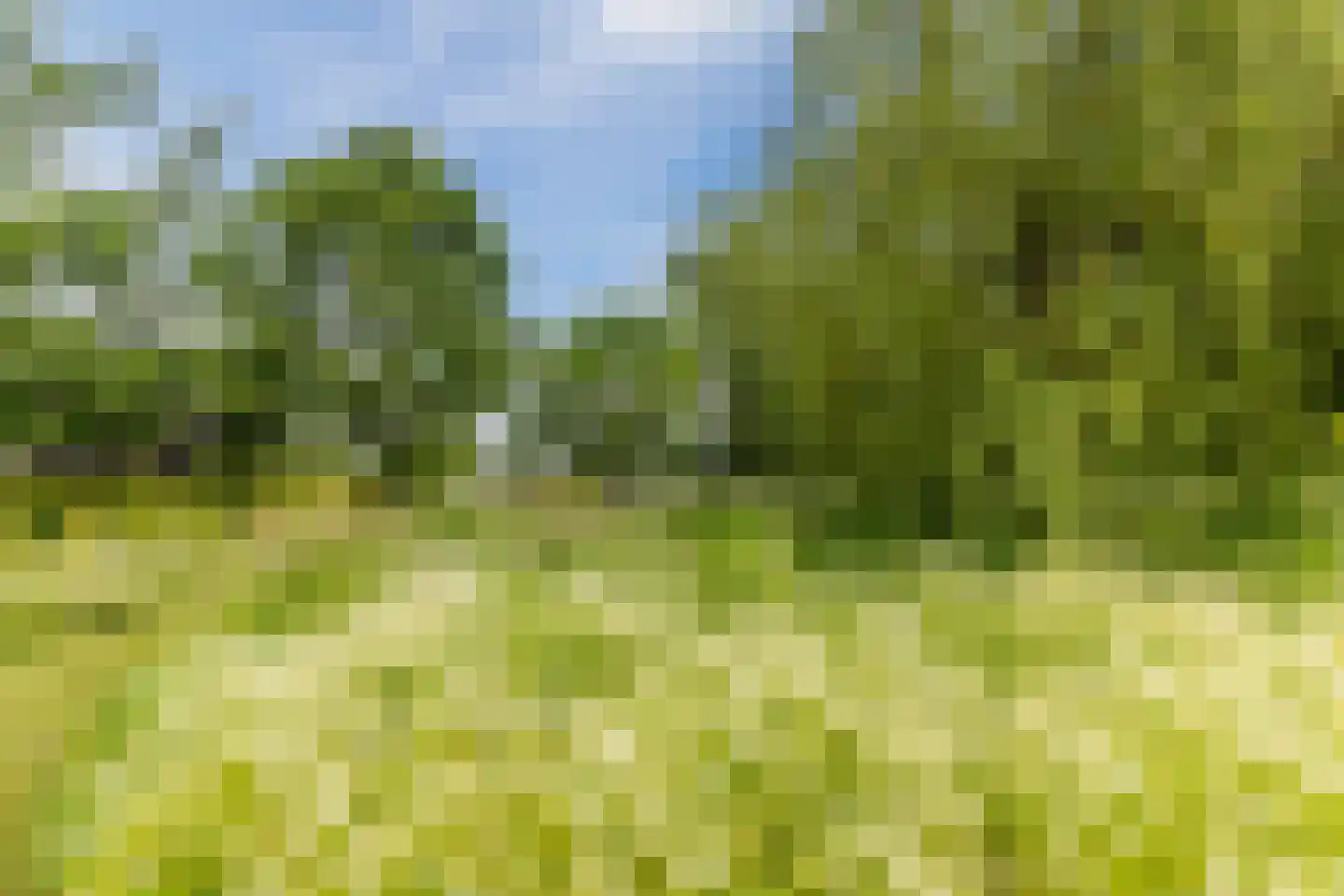 Ommerkanaal 7 Dedemsvaart thumbnail 83