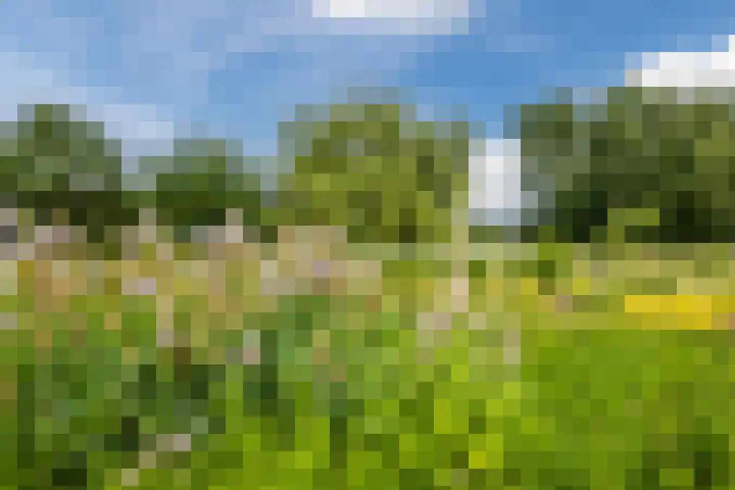 Ommerkanaal 7 Dedemsvaart thumbnail 84