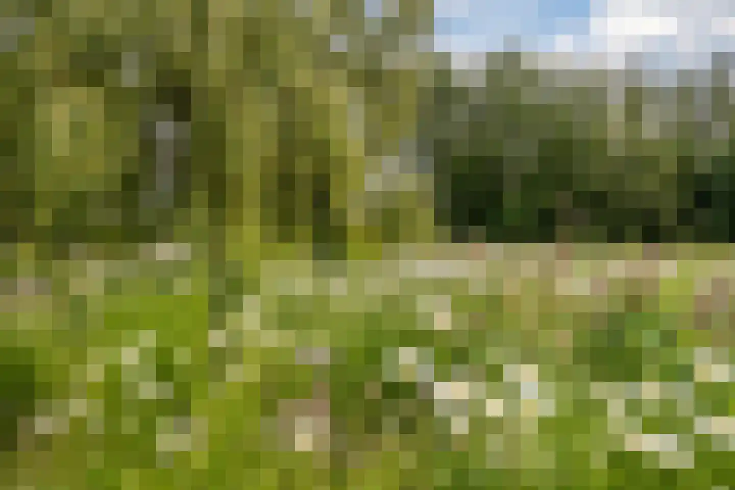 Ommerkanaal 7 Dedemsvaart thumbnail 85