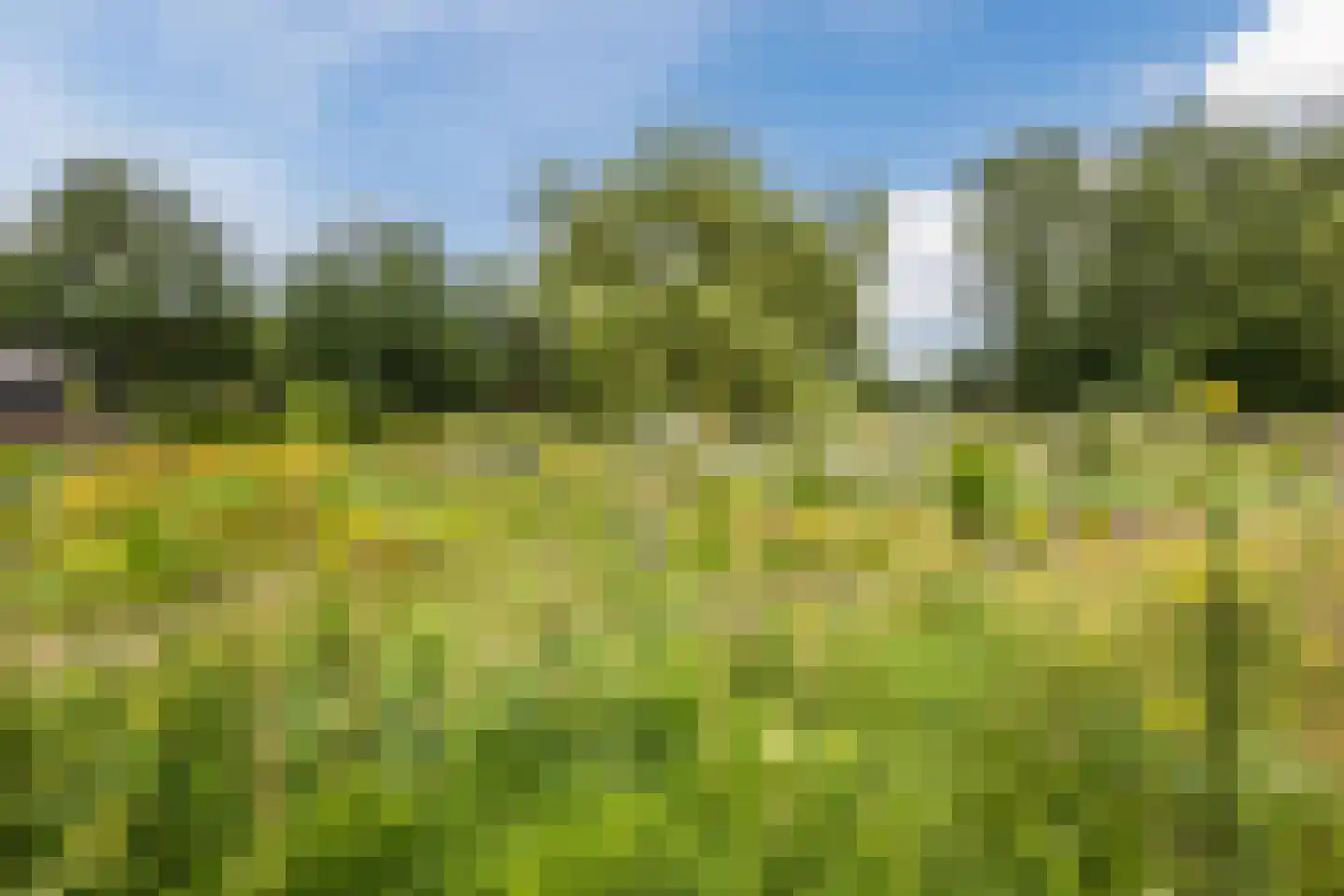 Ommerkanaal 7 Dedemsvaart thumbnail 86