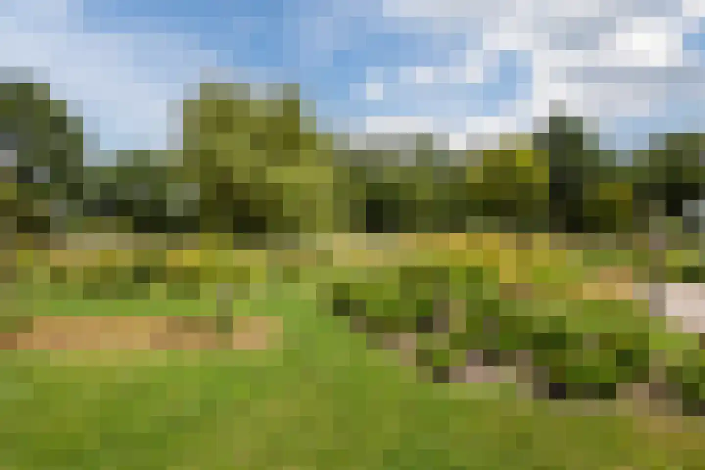 Ommerkanaal 7 Dedemsvaart thumbnail 87