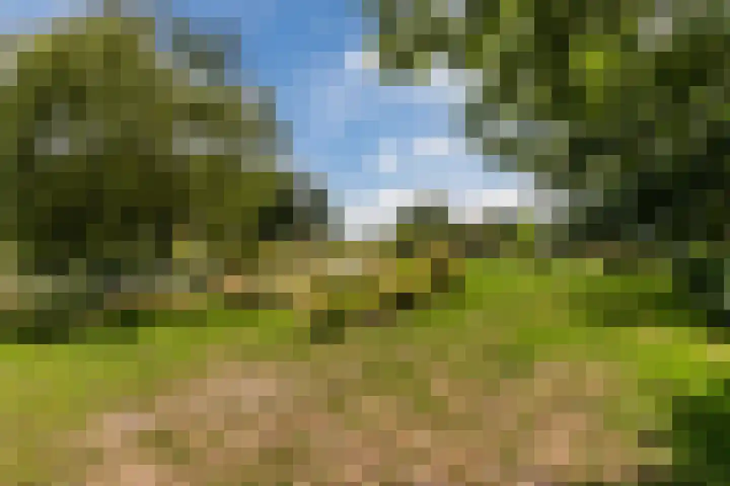 Ommerkanaal 7 Dedemsvaart thumbnail 88