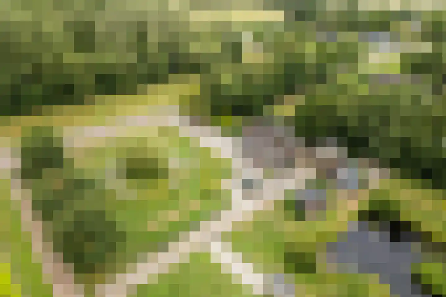 Ommerkanaal 7 Dedemsvaart thumbnail 89