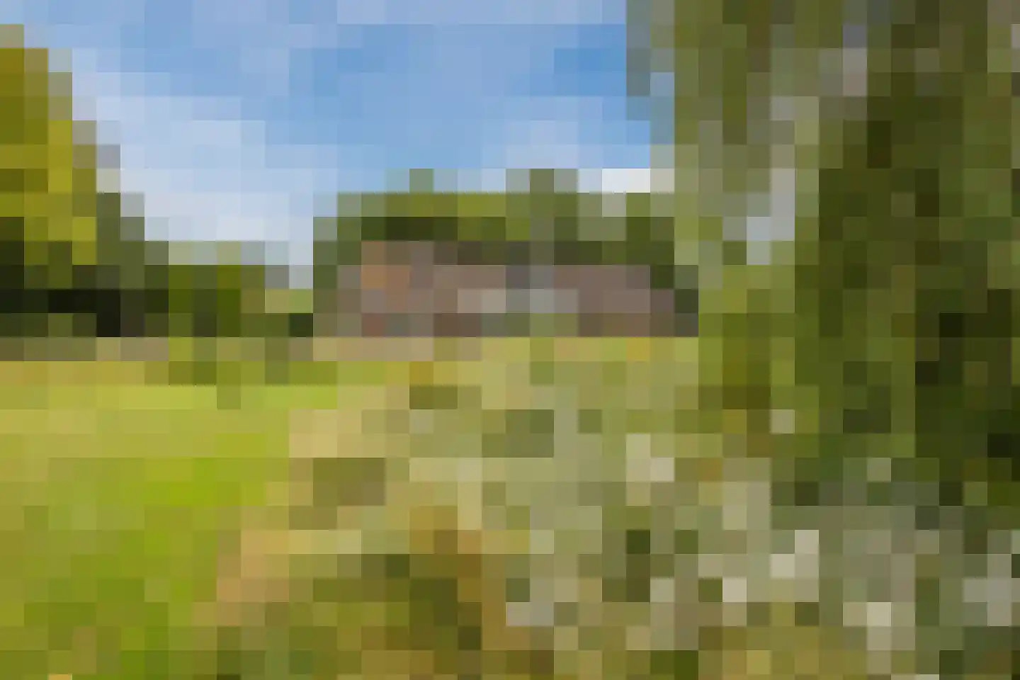 Ommerkanaal 7 Dedemsvaart thumbnail 90
