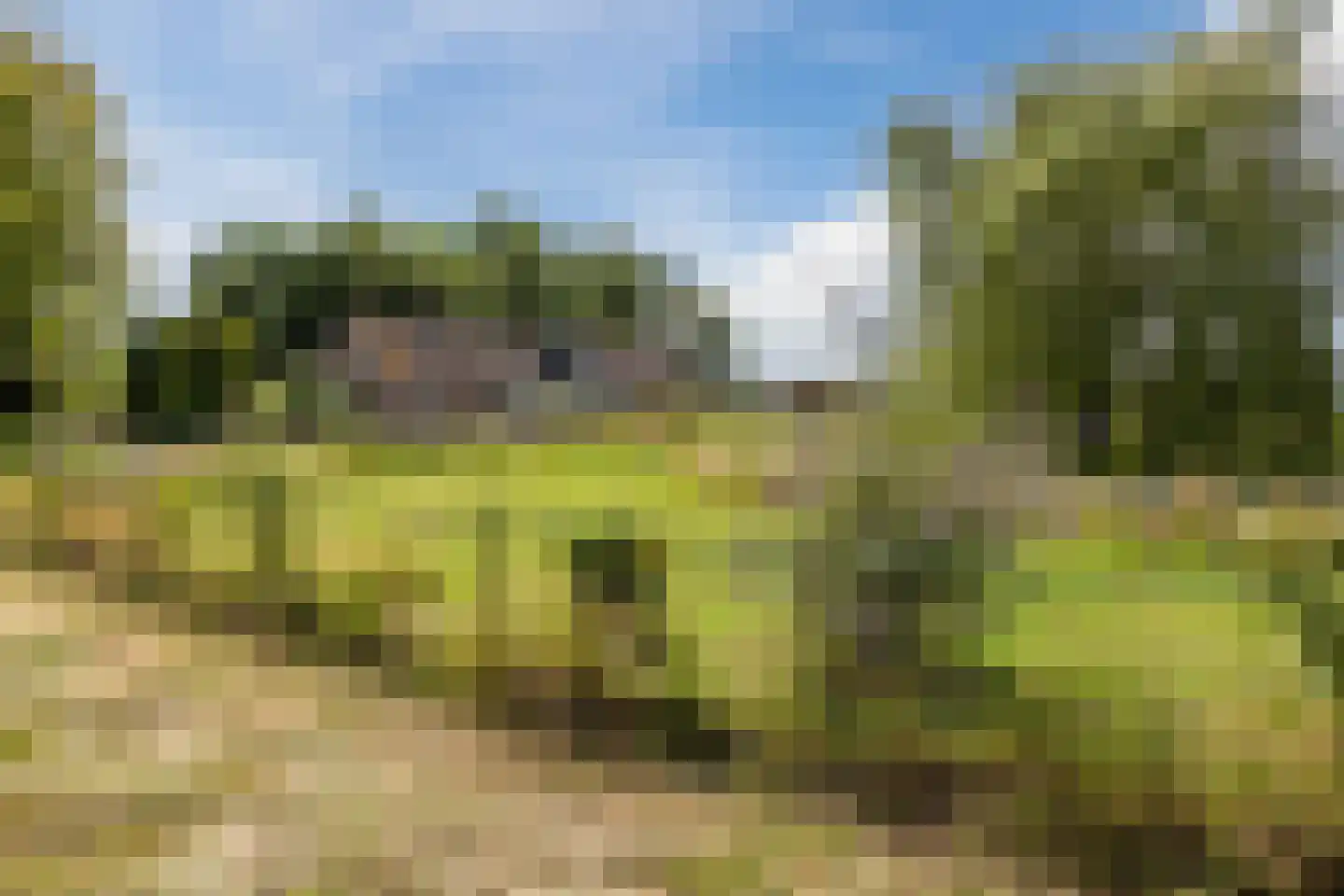 Ommerkanaal 7 Dedemsvaart thumbnail 91