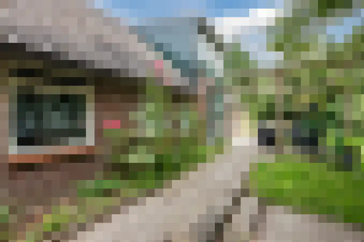 Ommerkanaal 7 Dedemsvaart thumbnail 98