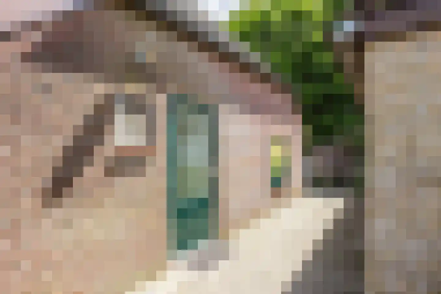 Ommerkanaal 7 Dedemsvaart thumbnail 99