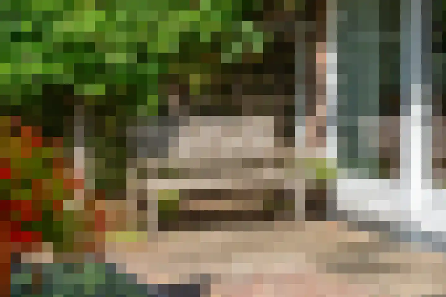 Ommershoflaan 6 Oosterbeek thumbnail 39