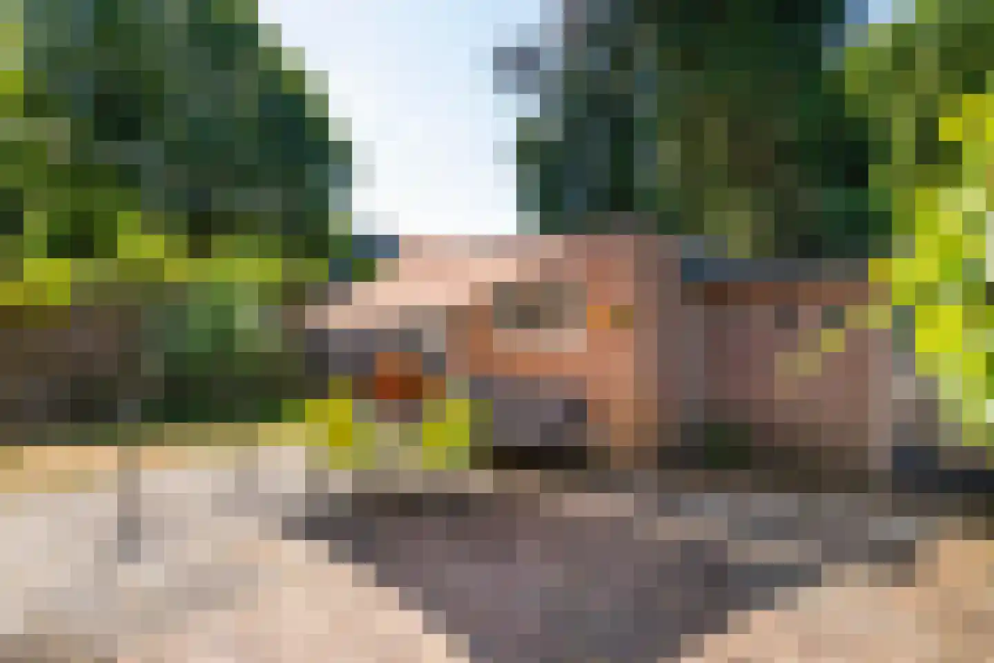 Ommershoflaan 6 Oosterbeek thumbnail 41