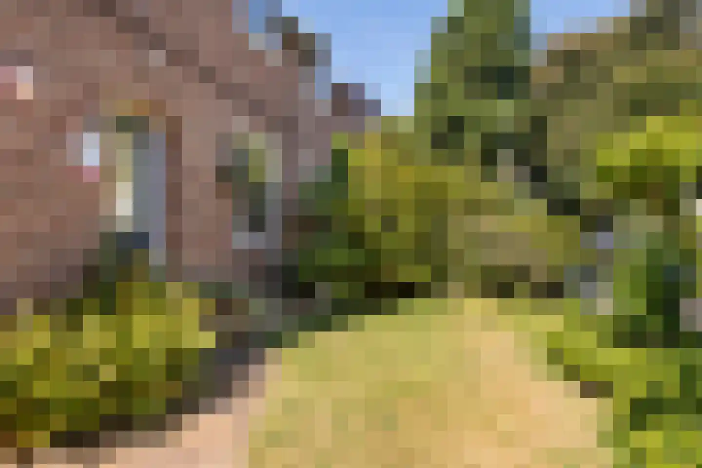 Ommershoflaan 6 Oosterbeek thumbnail 47
