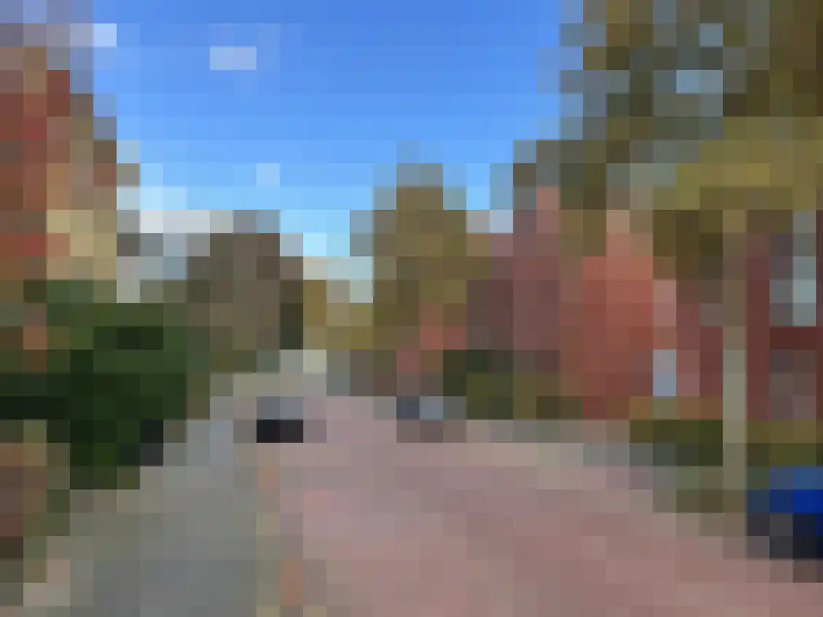Ommershofselaan 23 Velp thumbnail 4
