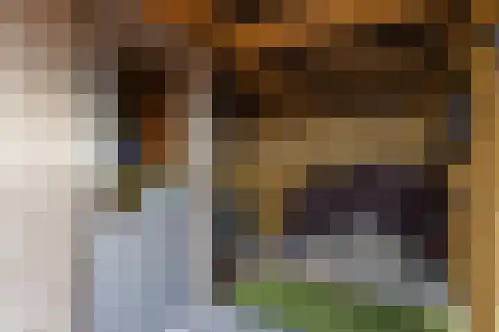 Ommersteinsestraat 12 Echteld thumbnail 31