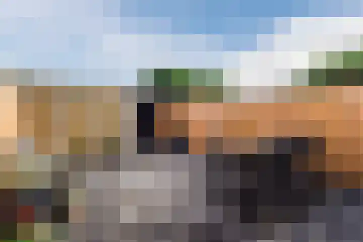 Ommersteinsestraat 12 Echteld thumbnail 4