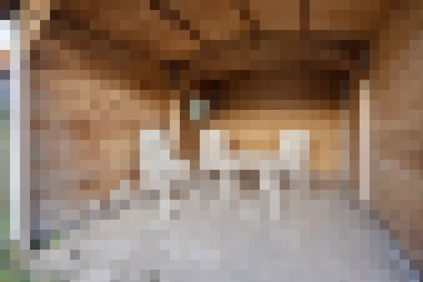 Ommerweg 13 Hellendoorn thumbnail 26