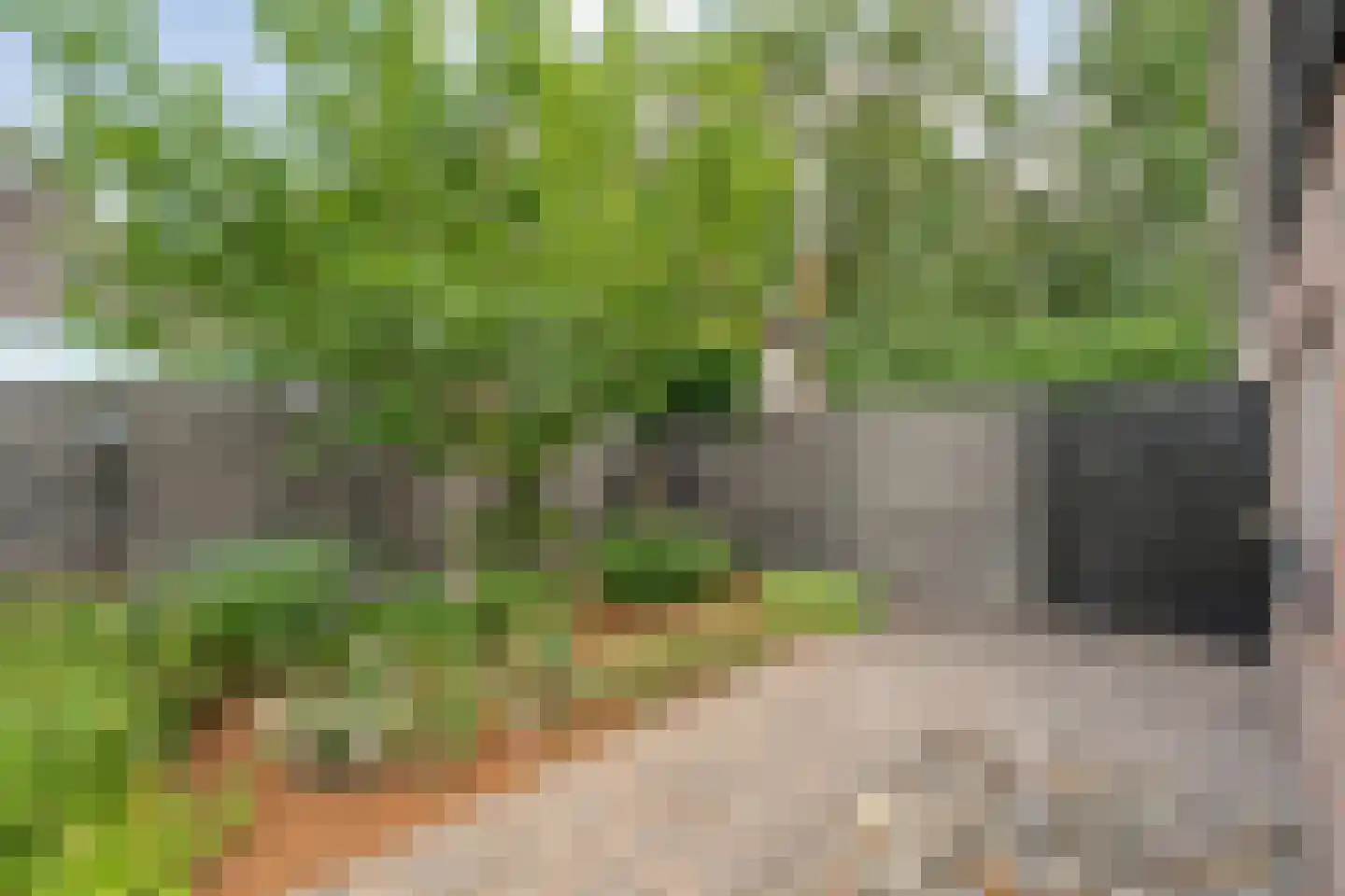 Ommerweg 18 a Zuidwolde thumbnail 15