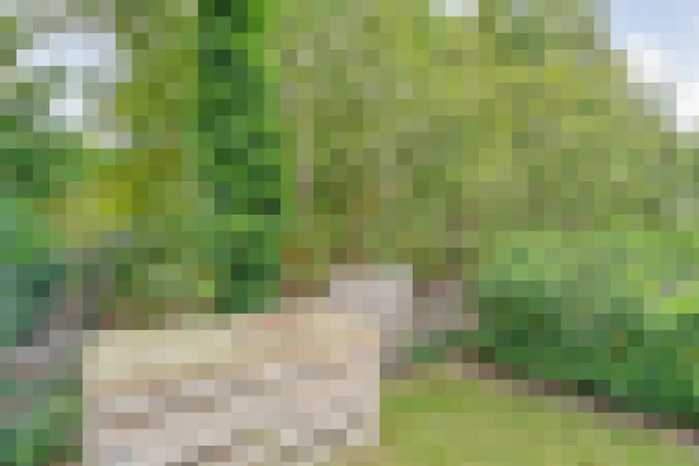 Ommerweg 18 a Zuidwolde thumbnail 19