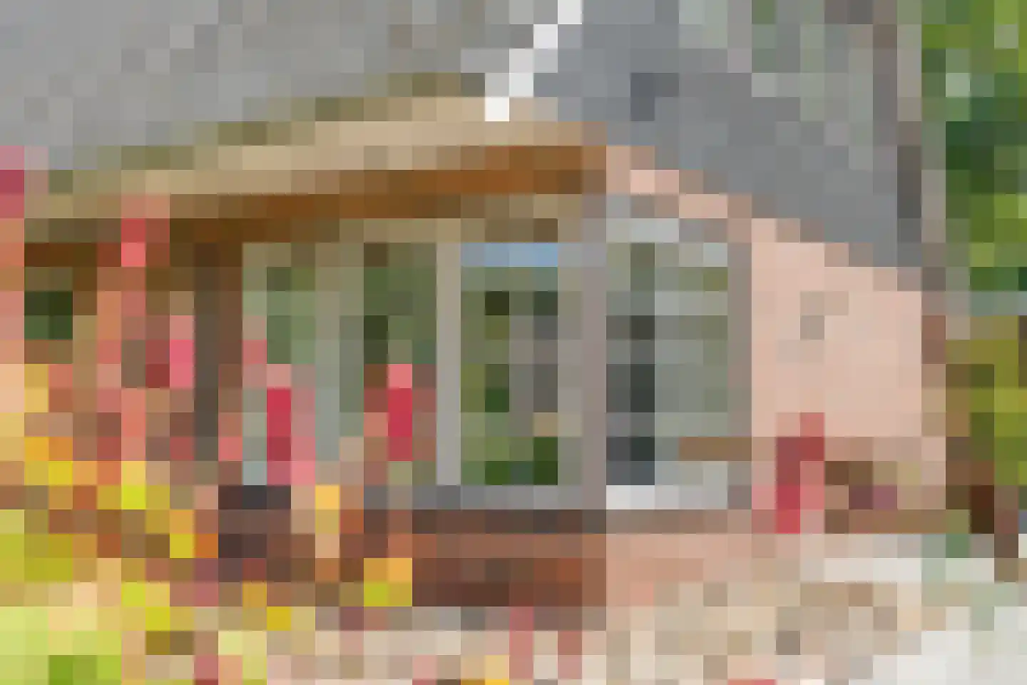 Ommerweg 18 a Zuidwolde thumbnail 22