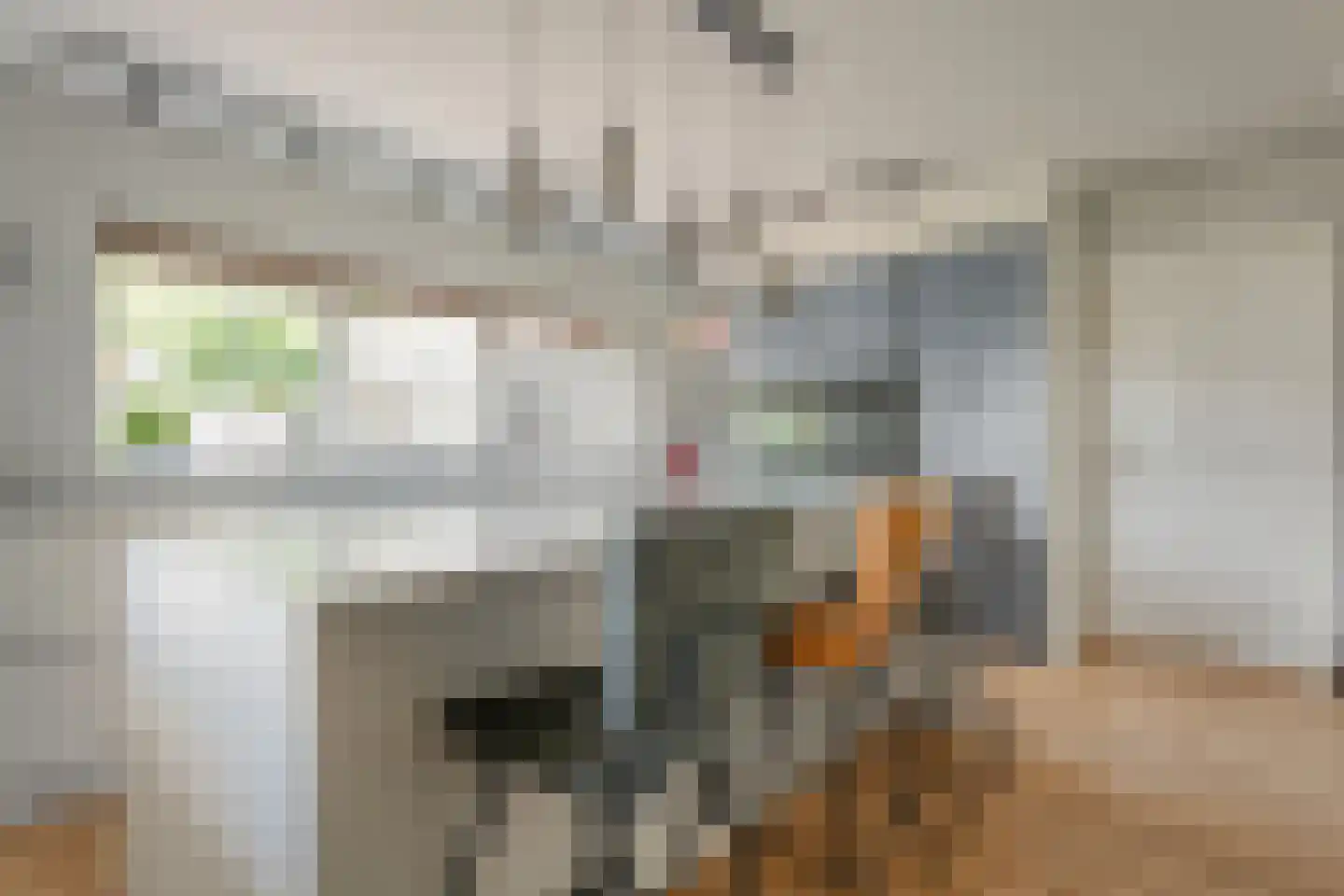 Ommerweg 18 a Zuidwolde thumbnail 34