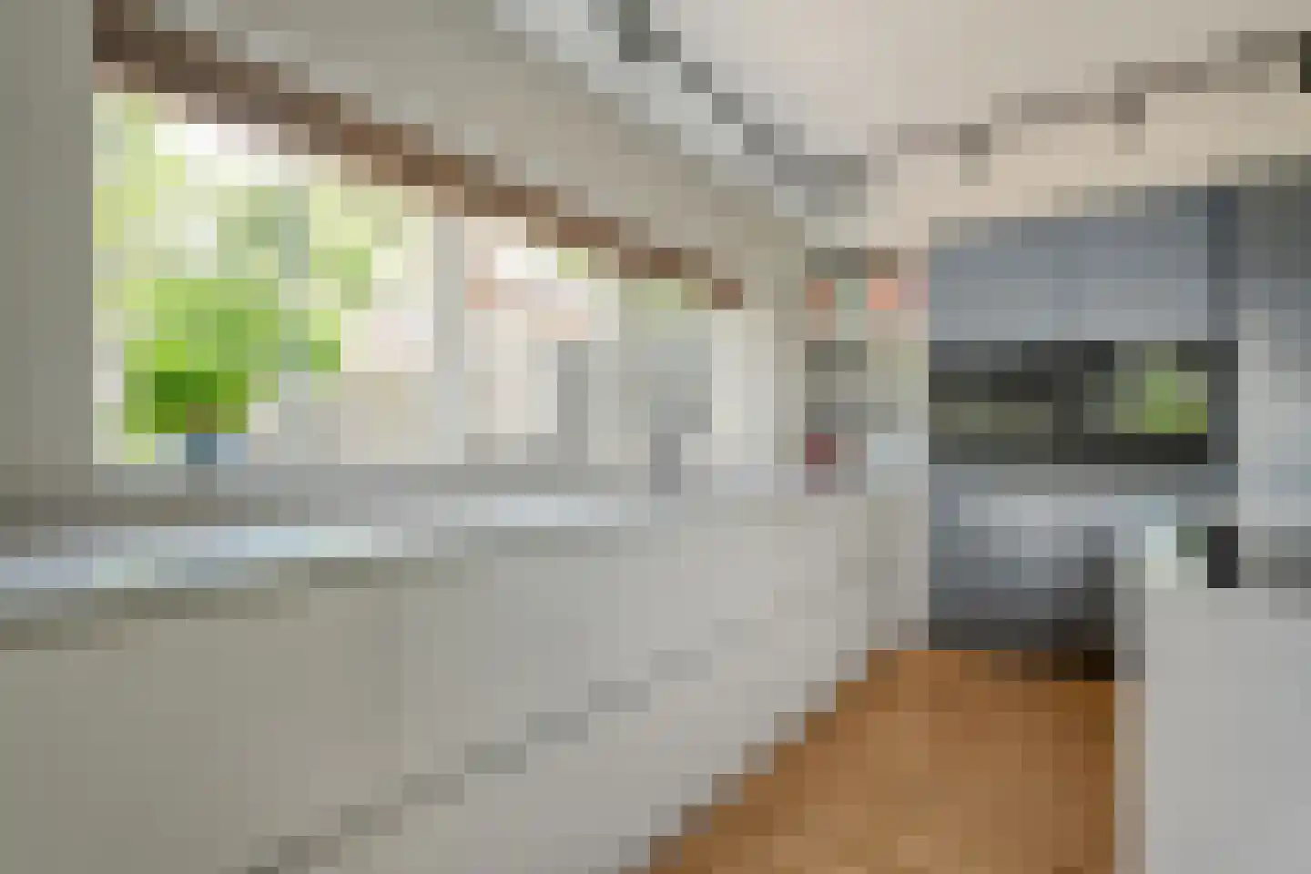 Ommerweg 18 a Zuidwolde thumbnail 35